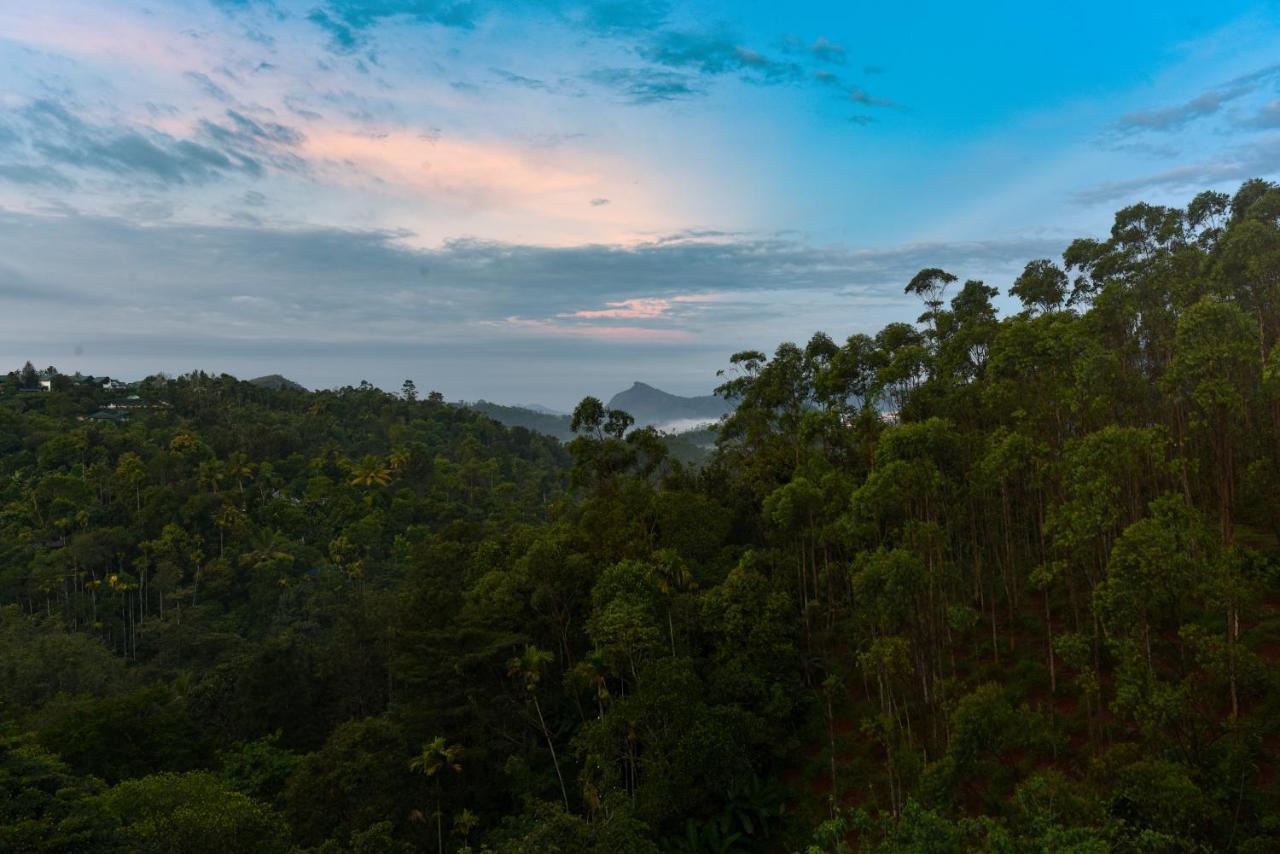 Hotel White House, Munnar Bagian luar foto