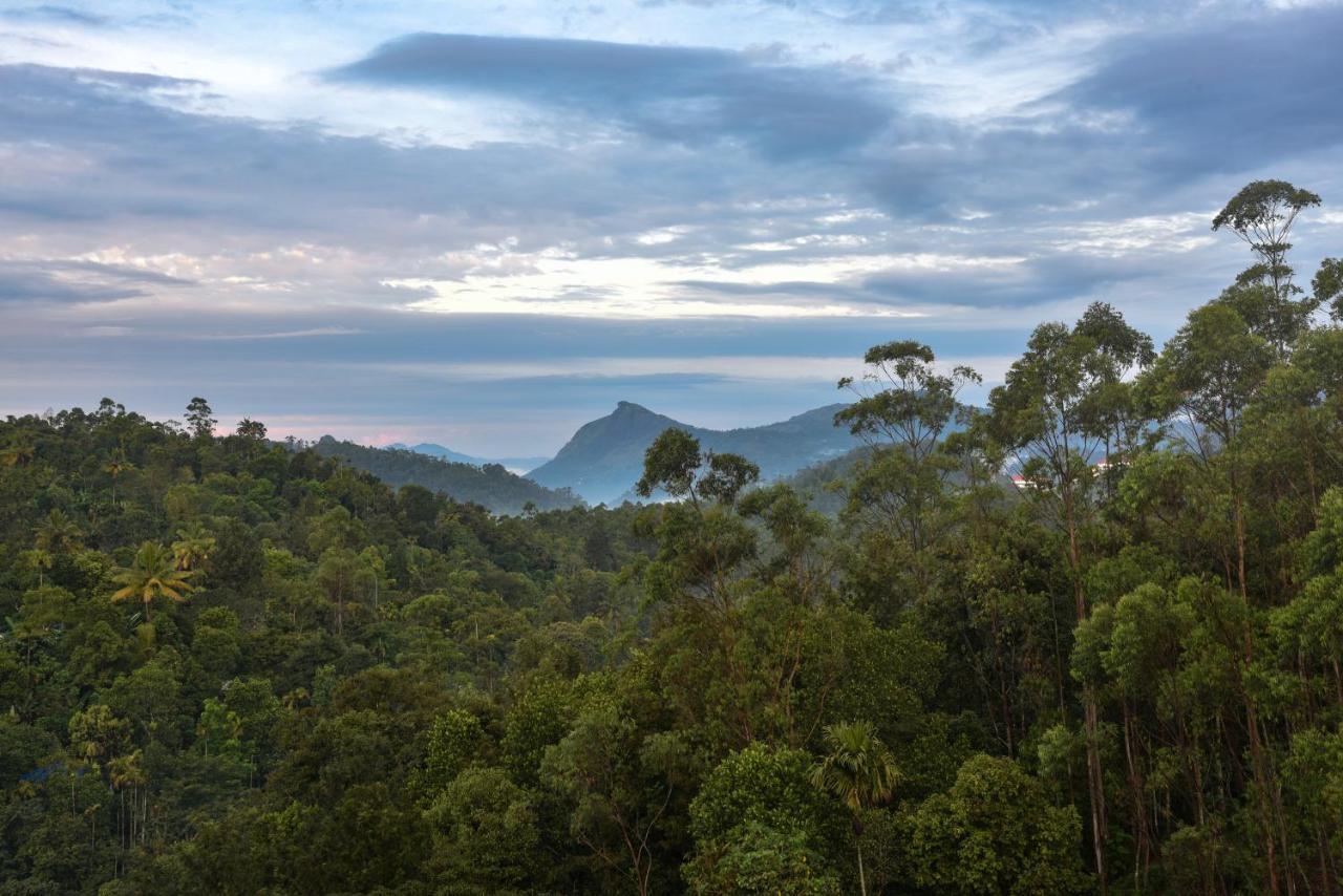 Hotel White House, Munnar Bagian luar foto